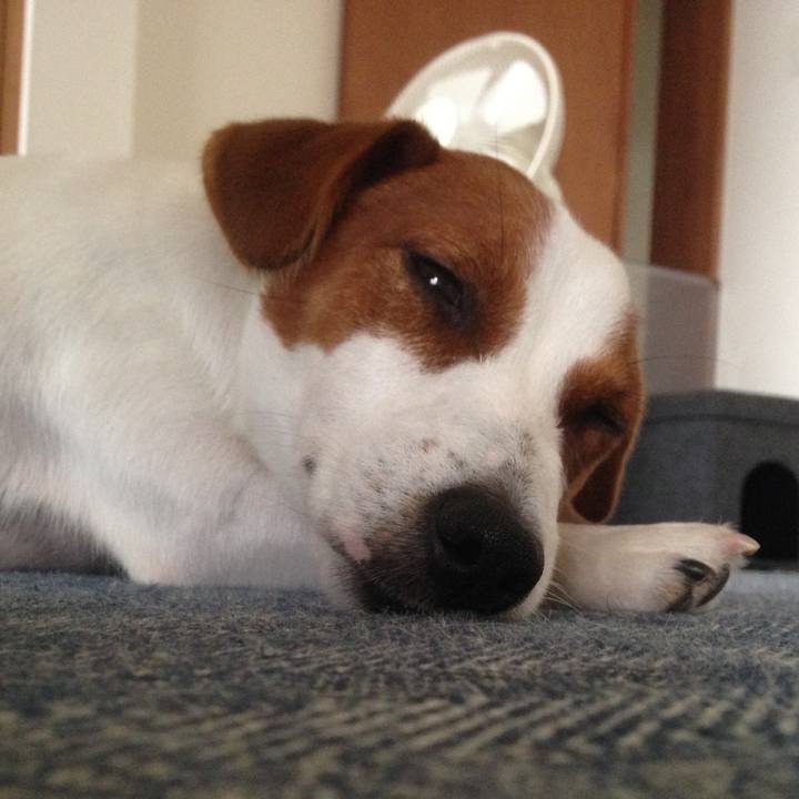 42105aa5 b03d 4b20 b5ee adcfc0bf0599