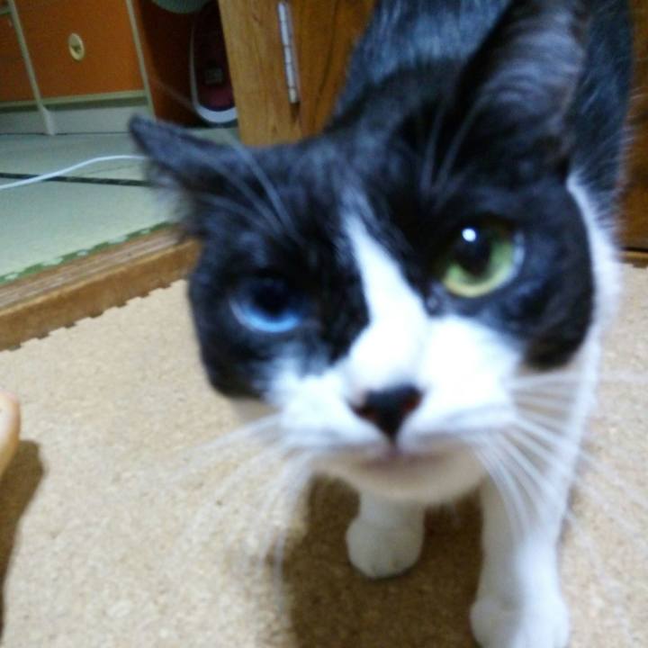 42110185 a0d6 4642 96fa e508b54512a0