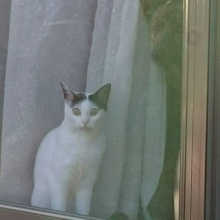 42115f9d 1723 4498 afec b49a7147ebca