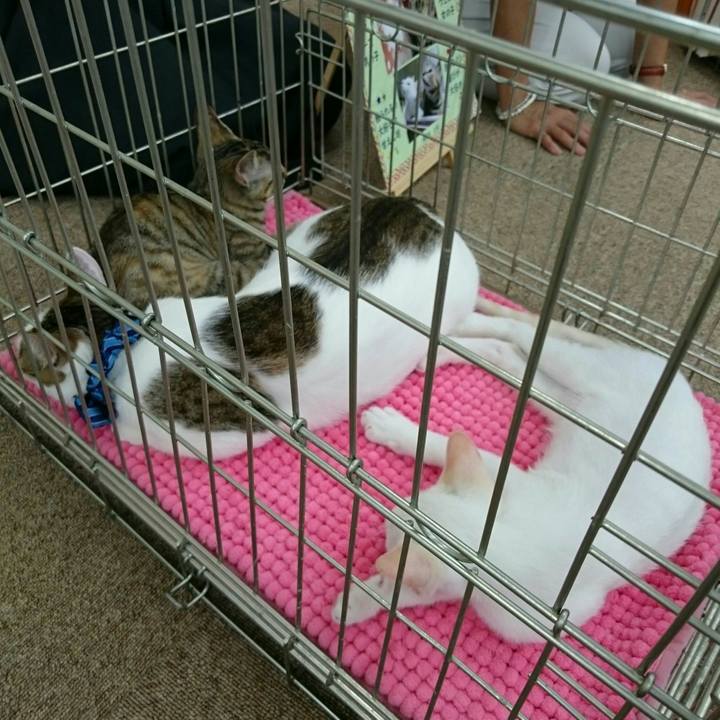 42116cd3 9995 4121 b61b ae62205d550a