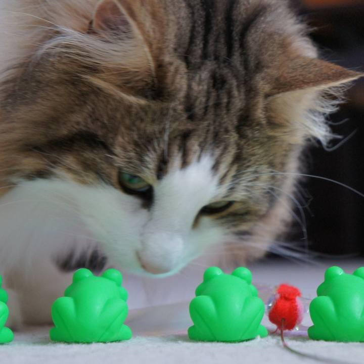 421258aa 2cea 4aa1 8f4c cc92523316de