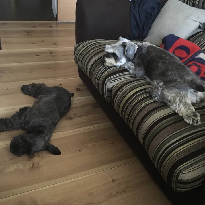 4212d1de ff2a 4b6e a4da 13328d934f9a