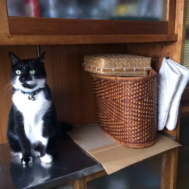 42130d55 13a5 4cf5 b221 e89a3cf24e57