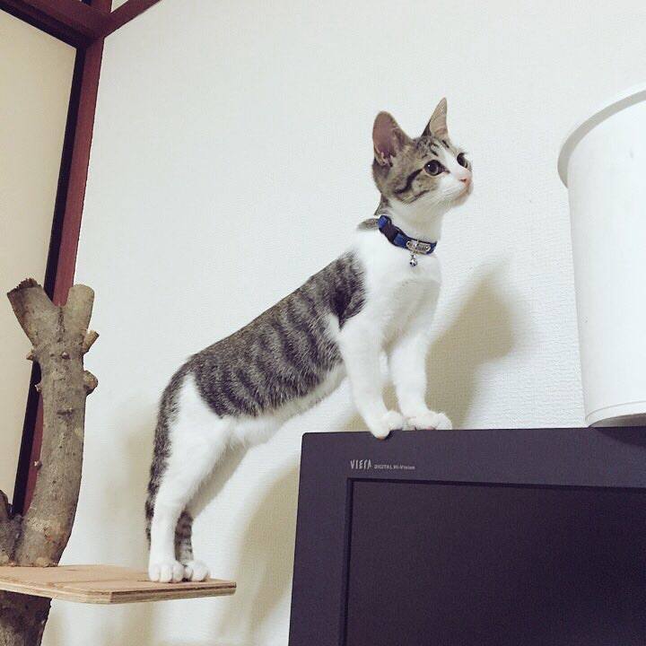 4213ac0e a94d 42c4 897c 4c00123101ef