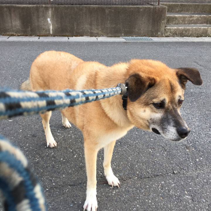 42143cf8 1bd0 43c7 aed3 da6c7644e6b1