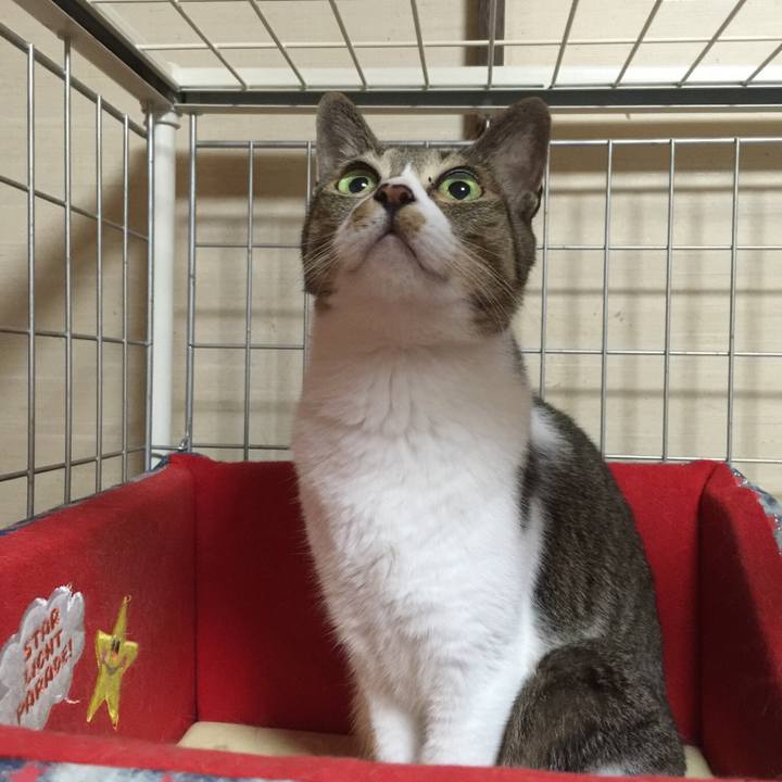 4214fdf3 2dd0 401d 9f08 9d8a6d7cb90d