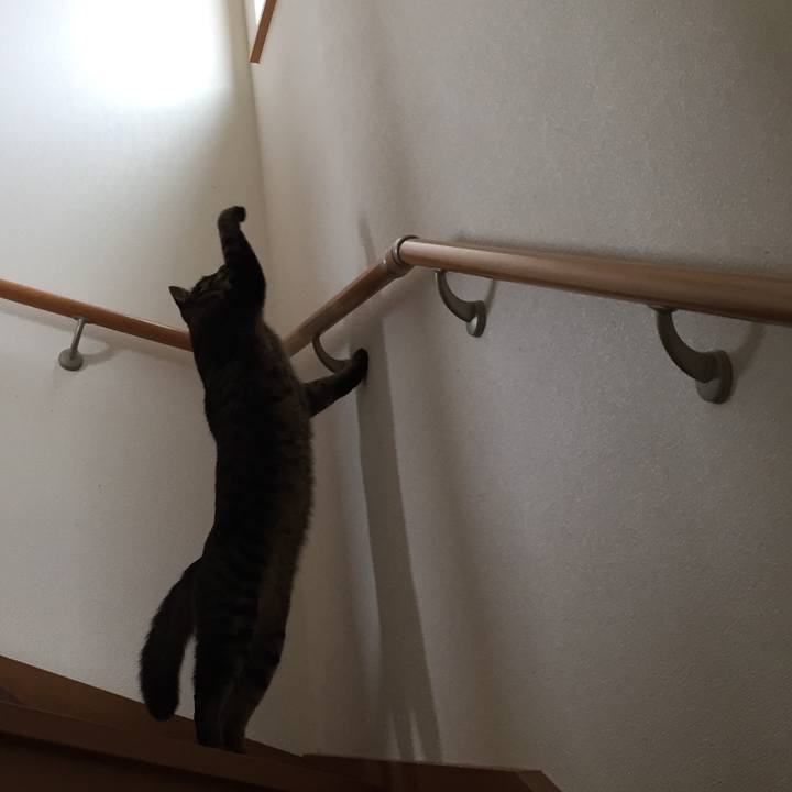 42153386 a198 471e 81df 5c25ef4462df