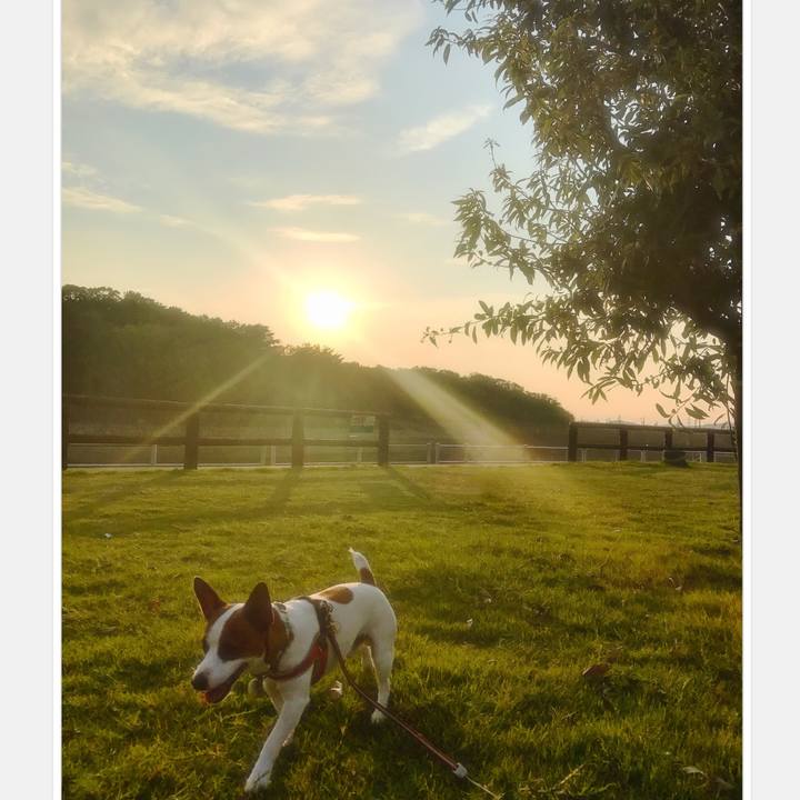 42153d77 5be6 4f1e 8206 dae00b7e6637