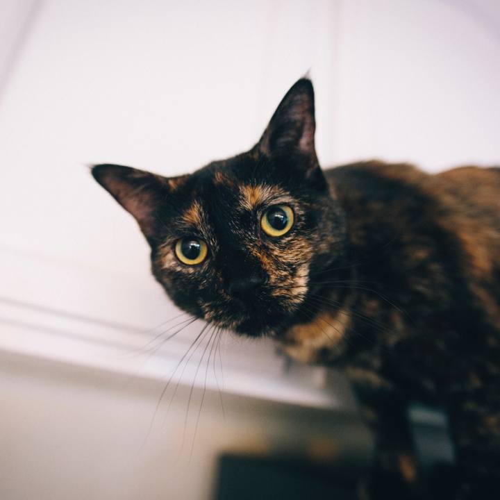 42154646 7a66 462b 969c 9a19f8372c41