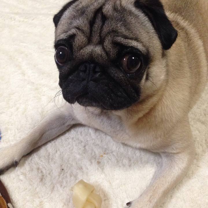 4215895e c20e 4d29 9be8 683e66df84bb