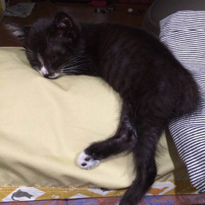 42158ca2 eeee 4f0b 9da1 bbdc9f0356eb