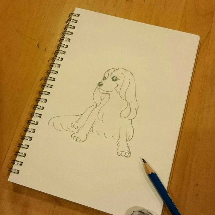 42159f04 5a10 451c a5bf 147976f81329