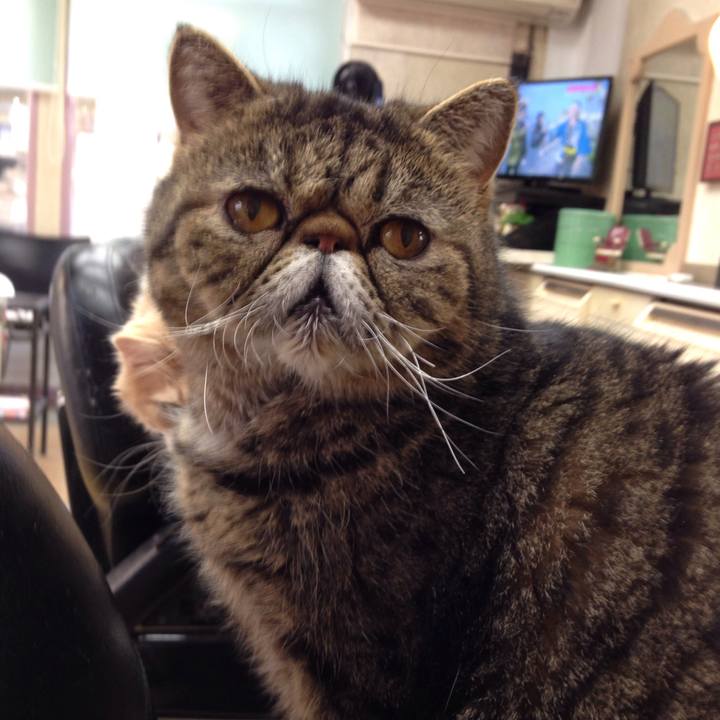 42163153 8a17 4f23 af71 430a314b2d5c