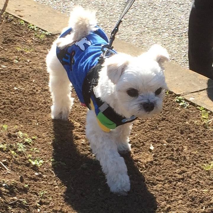 42164f1e 1d88 46a2 81e7 806005661e52