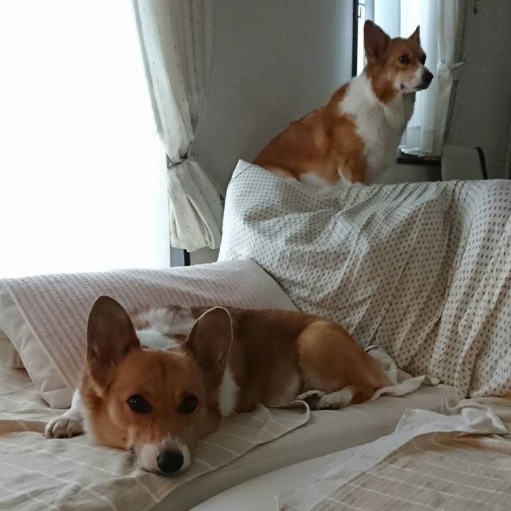 42165e4c 8549 4215 bd21 9987a3361b46