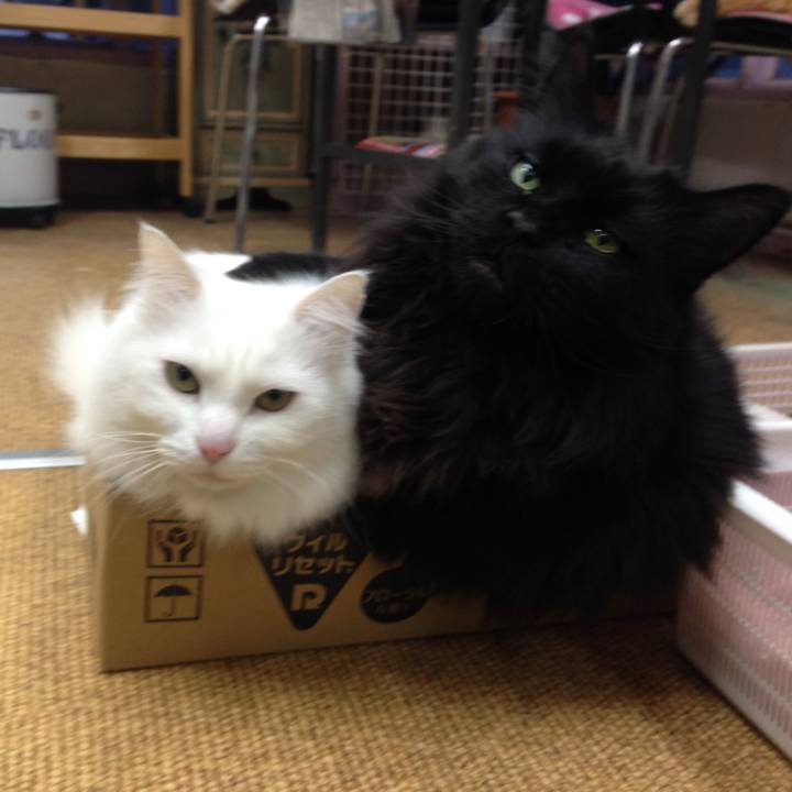 4217e4fd 3d99 46b4 8a10 124004388db5