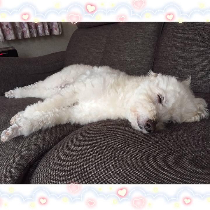 421836c8 a3ff 46be a124 9c5f573fc1e4