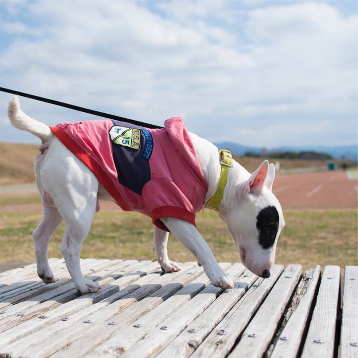 4218e89a 9823 40e4 a880 22520154ea47