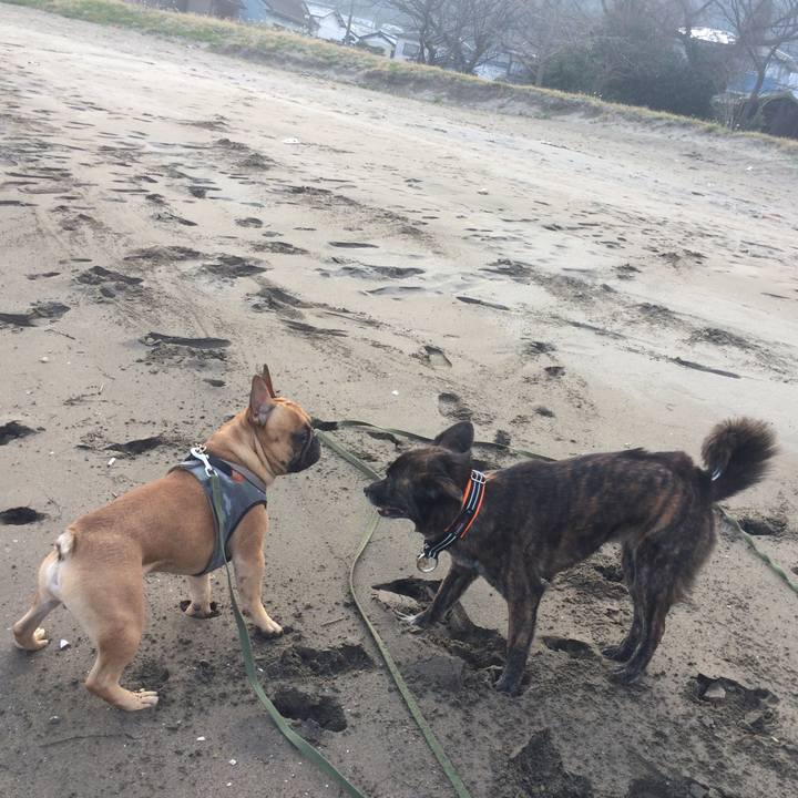 4219d2b0 7f1d 4f68 b50f 05eb1a45683b