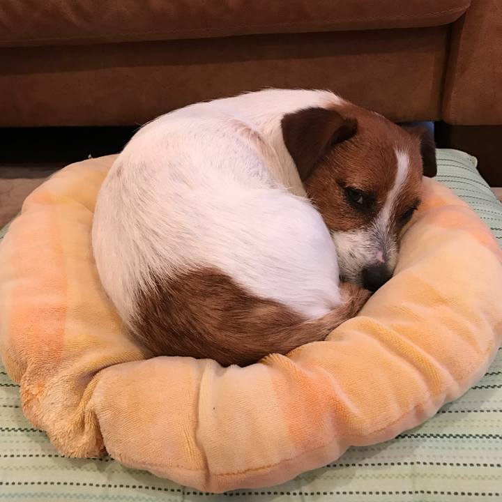 421a61e2 e0fc 420d b90f 39e13154a384