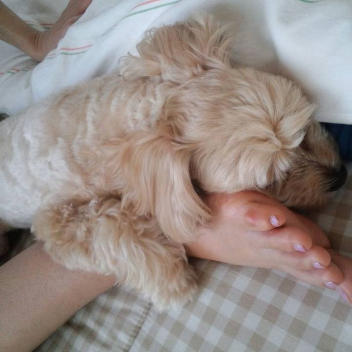 421a6884 01b5 47fd 9e21 9338ba59d018