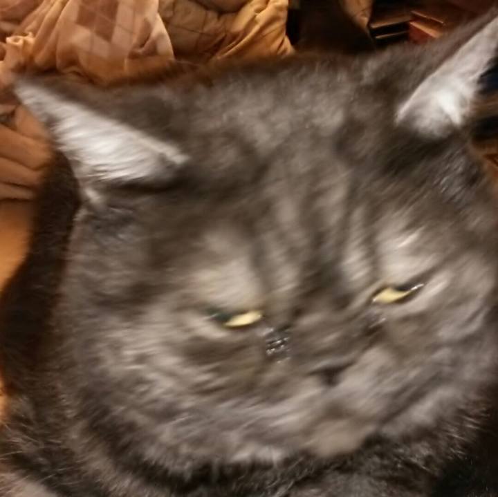 421b012f 4ecd 4a5a b796 b8cfd06a9782