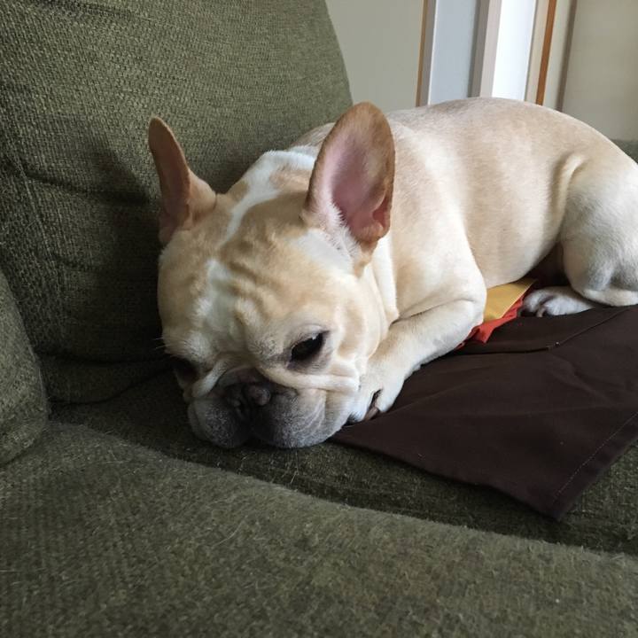 421b0837 2378 479e 920e 7899c1066dde