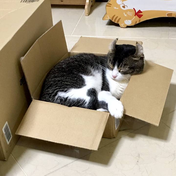 421b8068 e8f2 4c42 91bb 2b6c8d060d27