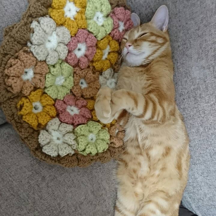 421bfe84 38c9 4a47 bf35 8a53d87de946