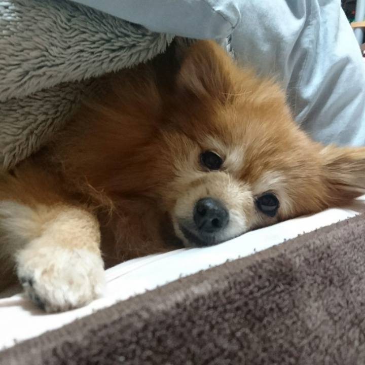 421cb374 01e8 4115 9136 1410d7d4c958