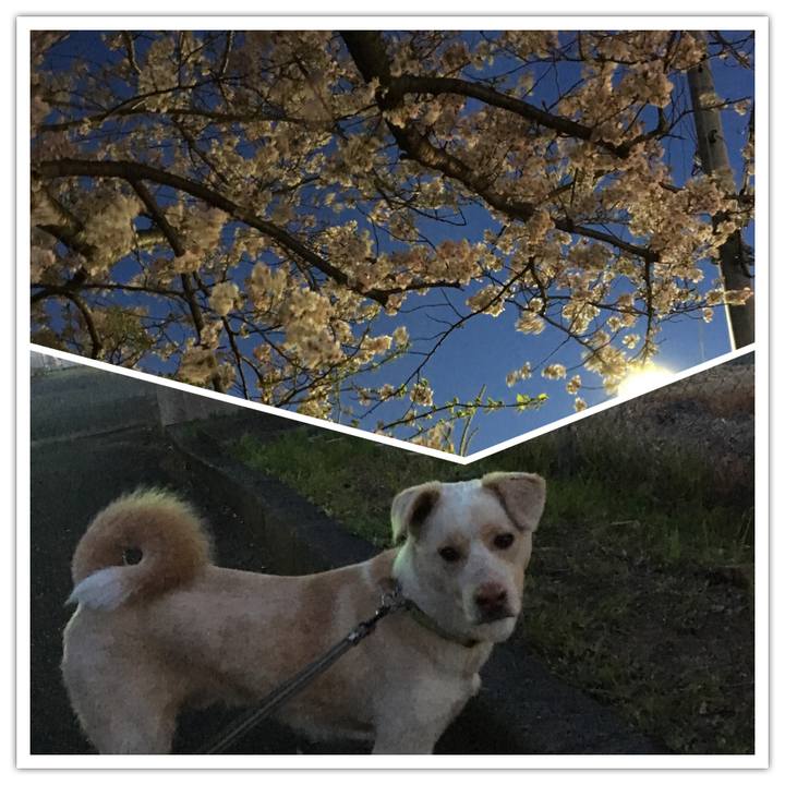 421d6cba c72d 47d8 8b10 e1aa03ab90af