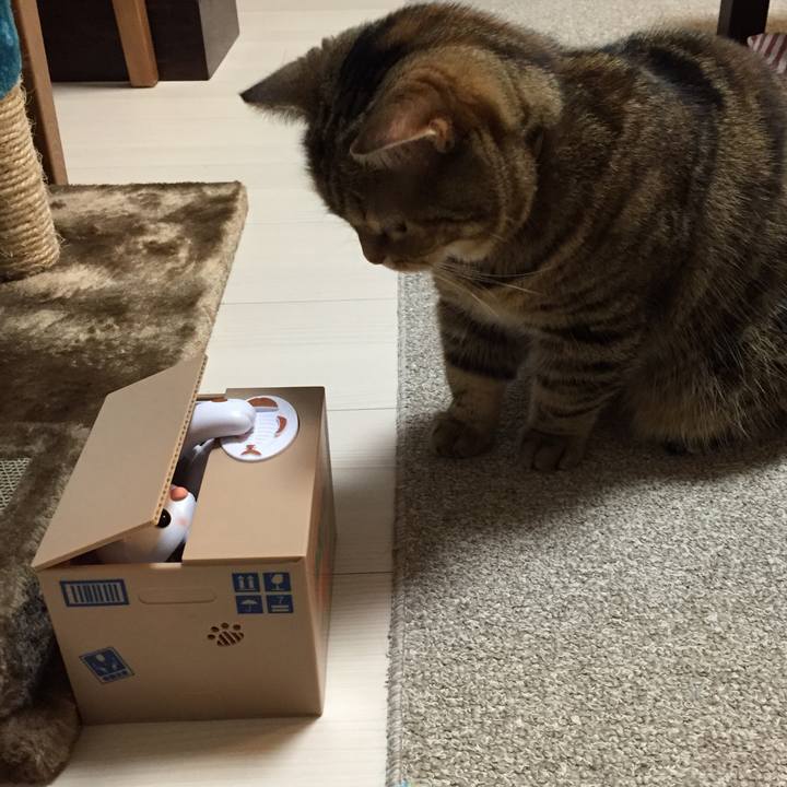 421d747c 911c 451b 9534 429b2973404f