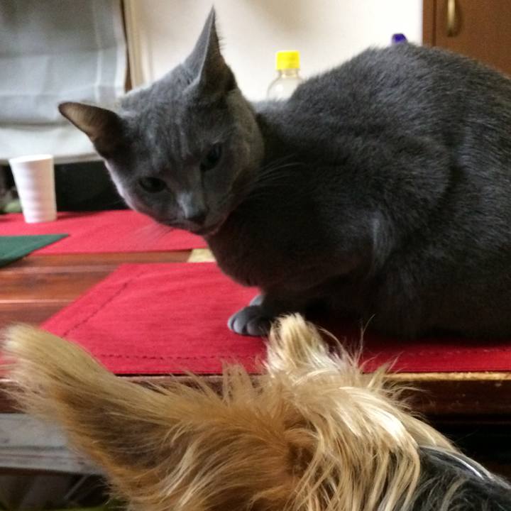 421d99f2 db36 4a4c 87dc 8bc56d6802d2