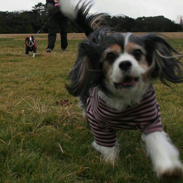 421d9f60 fb25 4dad b41a e8aa6b5d9711