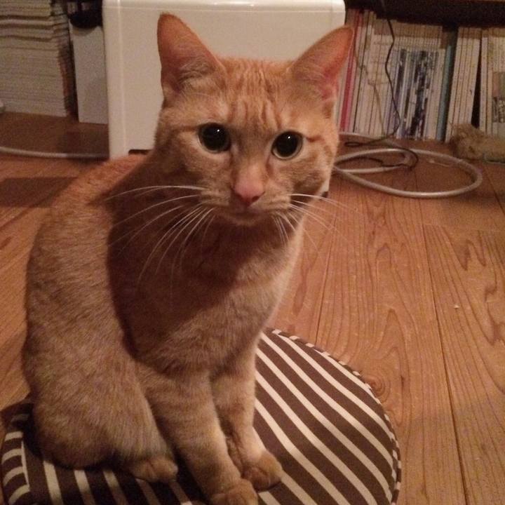 421dd8f4 1389 4d35 974f 4c54103c6a5a