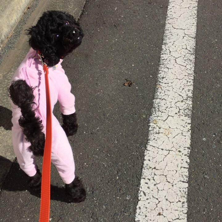 421e33ce f5e4 428b b6a7 1fe7043e57db