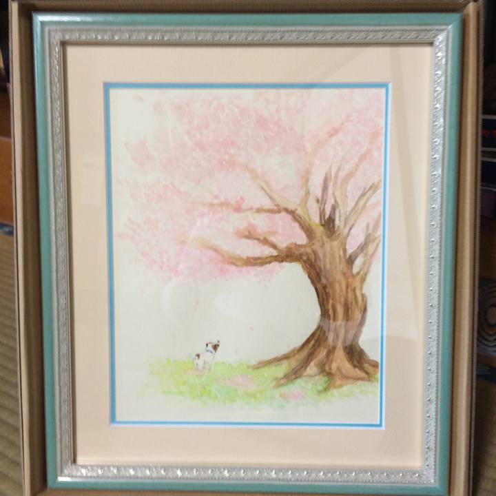 421e3713 a662 4cff a5b7 426287f85be4