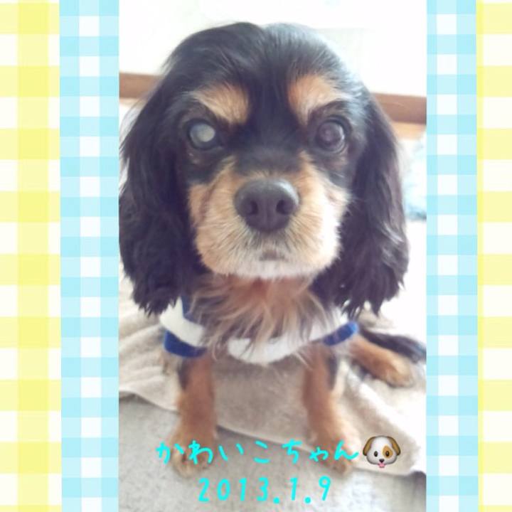 421e9512 6597 43a1 a2f2 b31605710f8b