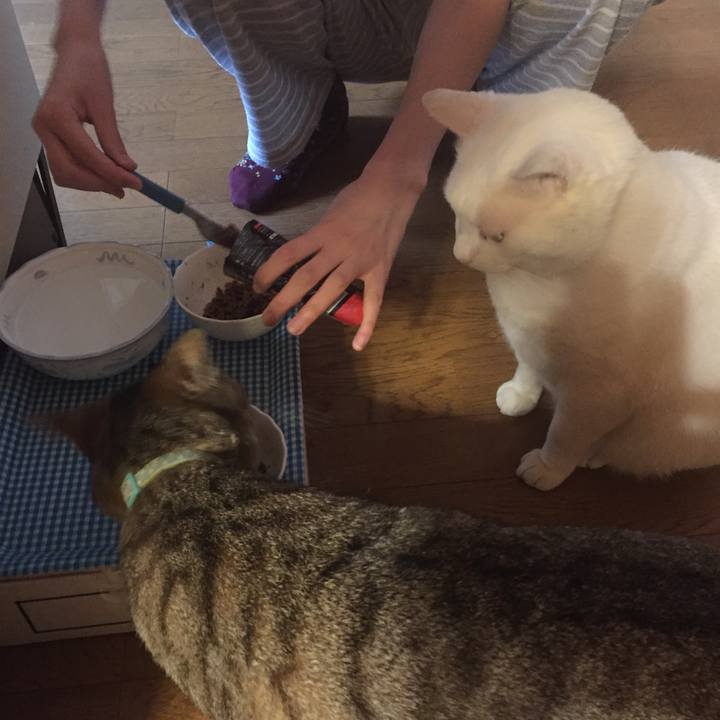 421ec7e1 35d8 4cb7 aa14 566bf48d5fbe