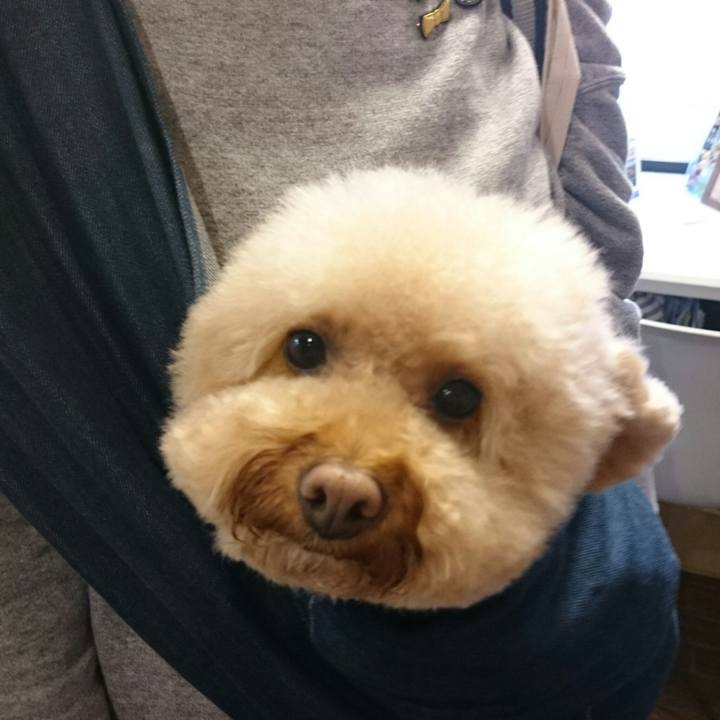 421ee5d6 5cbe 493f 8a6d d86b13000d81