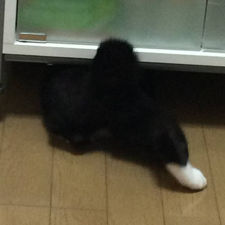 421eeef8 f0dc 47eb 93e3 edd113687431