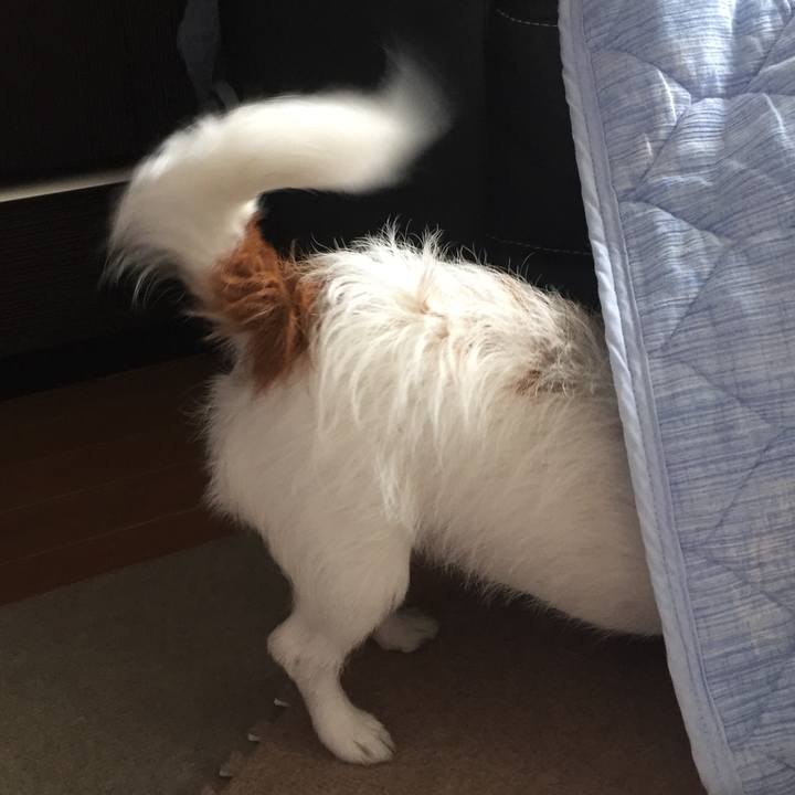 421f212f 37be 47df 840b 2b8170850b80