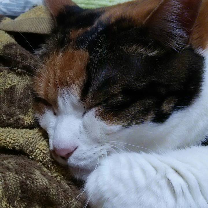 421f7675 e474 4dcc af12 7f9f371eb807