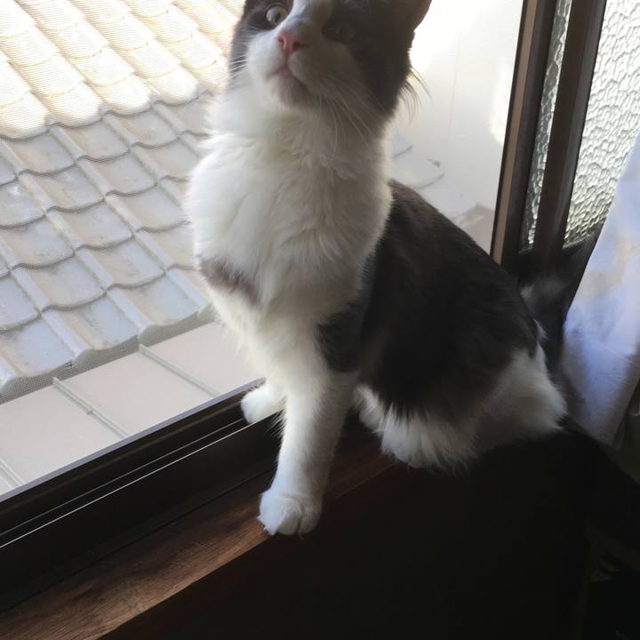 421faeb4 274e 40ac 8964 a2a35dfba913