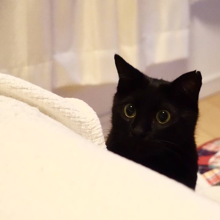 422004cd 385c 4339 89b4 0a0d2e345c9d