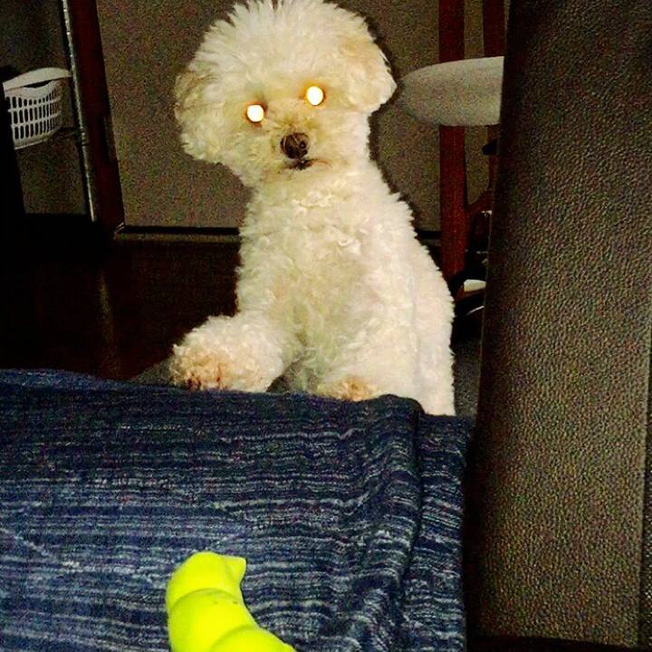 4220724d d6f7 4bfe 902e 0f9a33931647