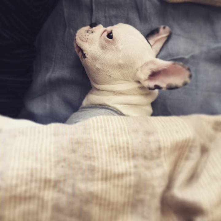 42216897 dd92 4e83 abca 77fa8a93eb70