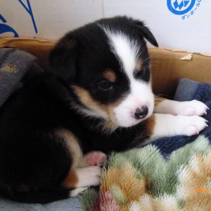 42217351 5ba1 4d74 98a6 968a73755120