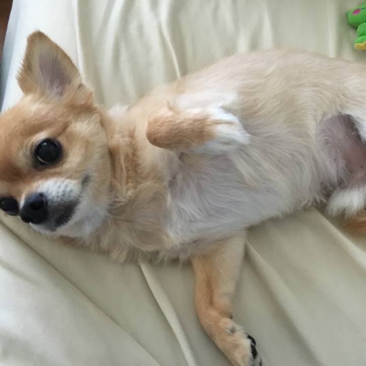 4221fd03 9228 4184 94f4 233ab5549859