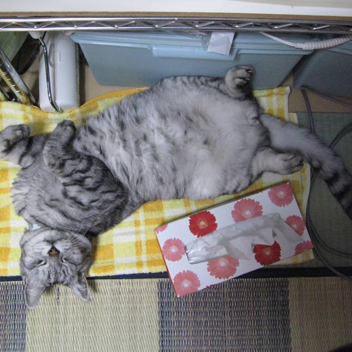 42220d9f 5829 4adc 966d ae2f8d39803c